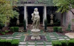 Dwarf Mondo Grass - 36 Pack Of 3.5" Pint Pots -Garden Sales Store Picture Mondo Grass Dwarf Pavers